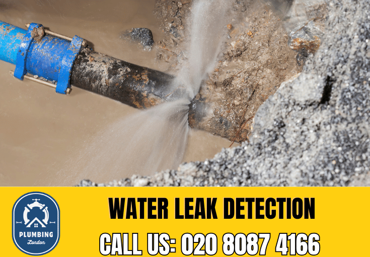 leak detection Soho